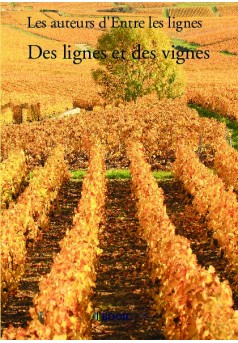 Commande et vente via Diffuzia