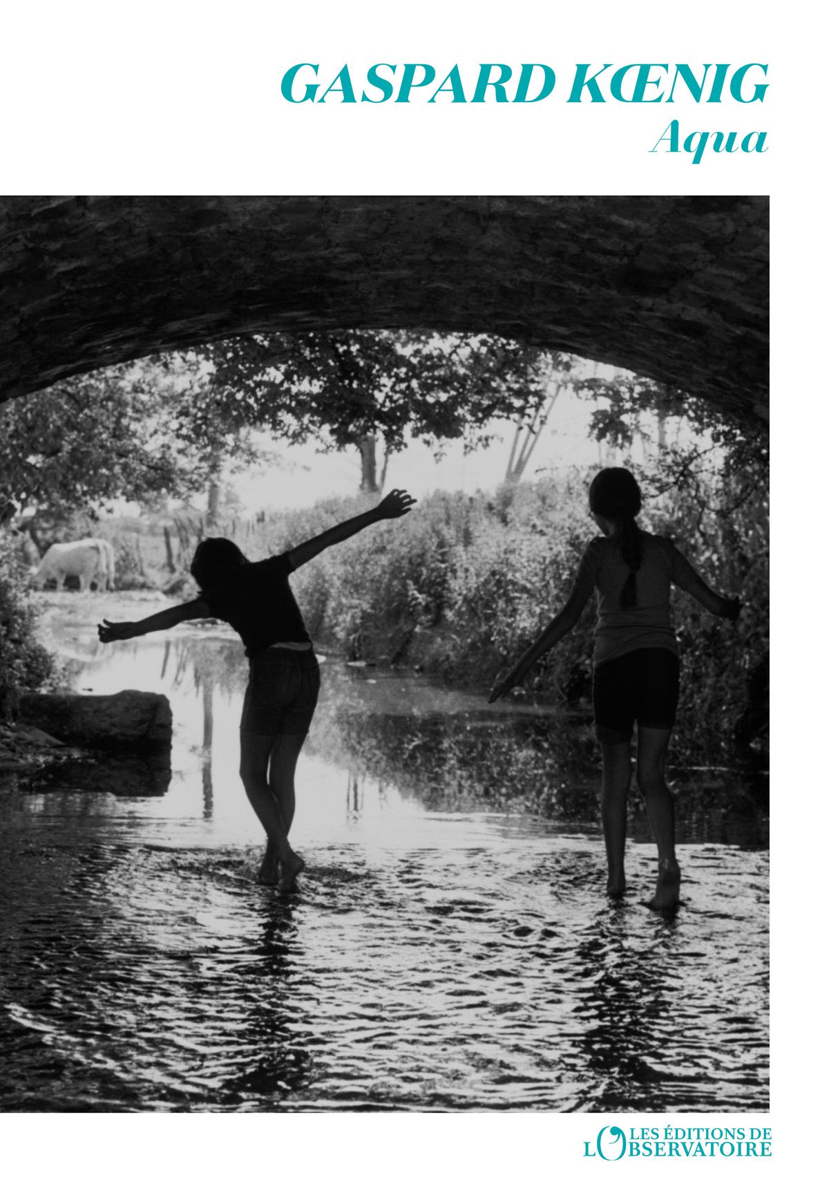 Commande et vente via Diffuzia